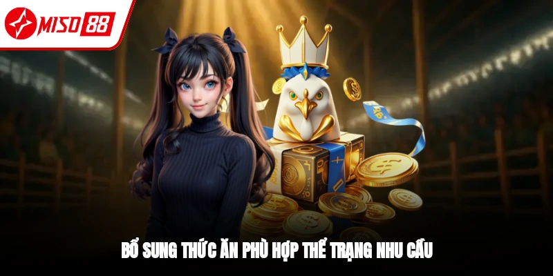 Cách Nuôi Gà Đá Chuẩn Từ Sư Kê 10 Năm Kinh Nghiệm