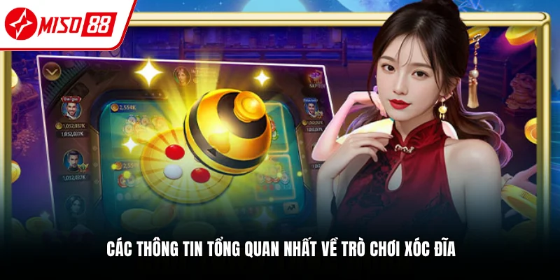 Xóc Đĩa - Hướng Dẫn Mẹo Chơi Thắng Lớn Đỉnh Cao Nhất 2026