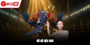 Đá Gà Miso88 – Trực Tiếp Thomo, Cược Nhanh, Tỷ Lệ Cao
