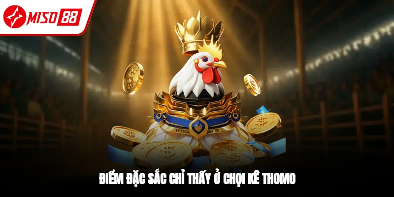 Đá Gà Thomo - Trải Nghiệm Trận Đấu Kịch Tính Tại Miso88