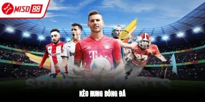 Thể Thao Miso88 – Cá Cược Bóng Đá, Kèo Chuẩn, Tỷ Lệ Cao