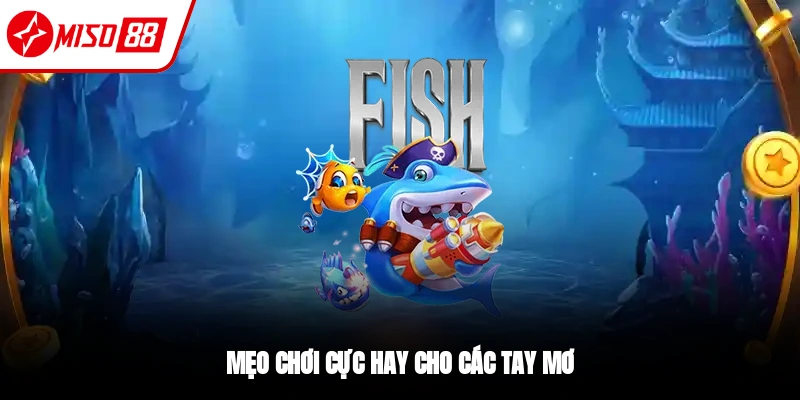 Bắn Cá Thần Tài Miso88 - Săn Thưởng Ngay Đổi Đời Hôm Nay