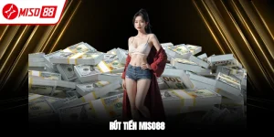 Hướng Dẫn Miso88 – Đăng Ký, Đăng Nhập, Nạp Rút Chi Tiết