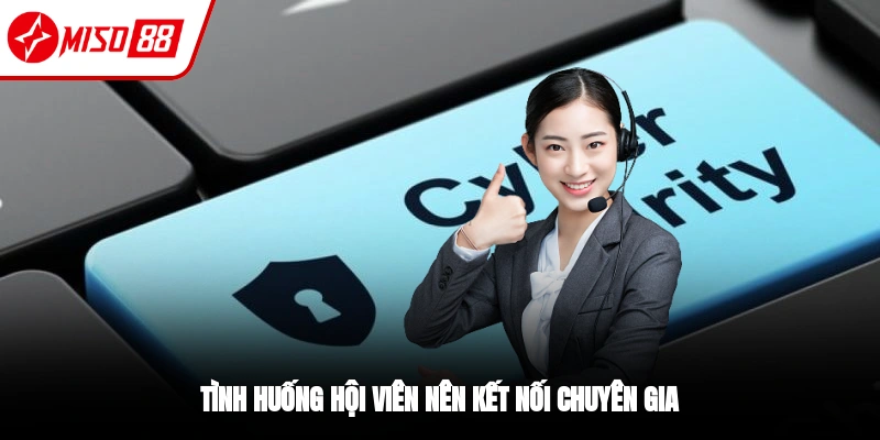 Liên Hệ Miso88 - Các Phương Thức Kết Nối Tiện Lợi Nhất