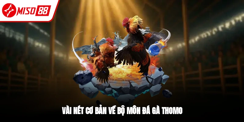 Đá Gà Thomo - Trải Nghiệm Trận Đấu Kịch Tính Tại Miso88